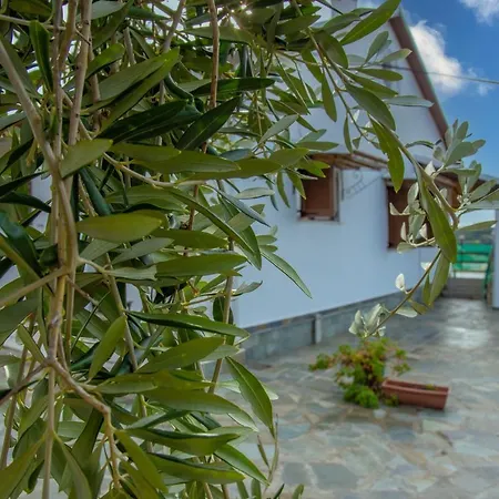 Eleonas Agios Stefanos Avliotes (Corfu)