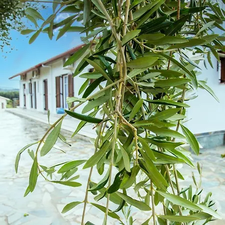 Eleonas Holiday home *